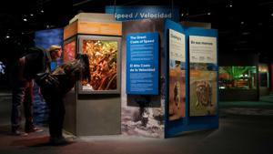 Boston Museum Of Science Survival Slowest